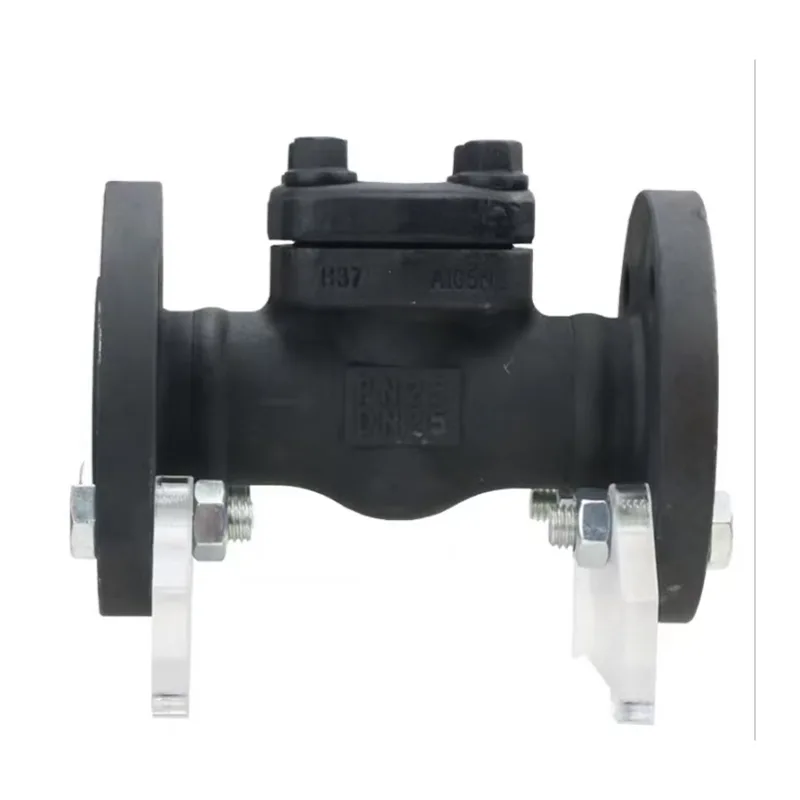 ປ່ຽງກວດເຊັກເຫຼັກ Forged