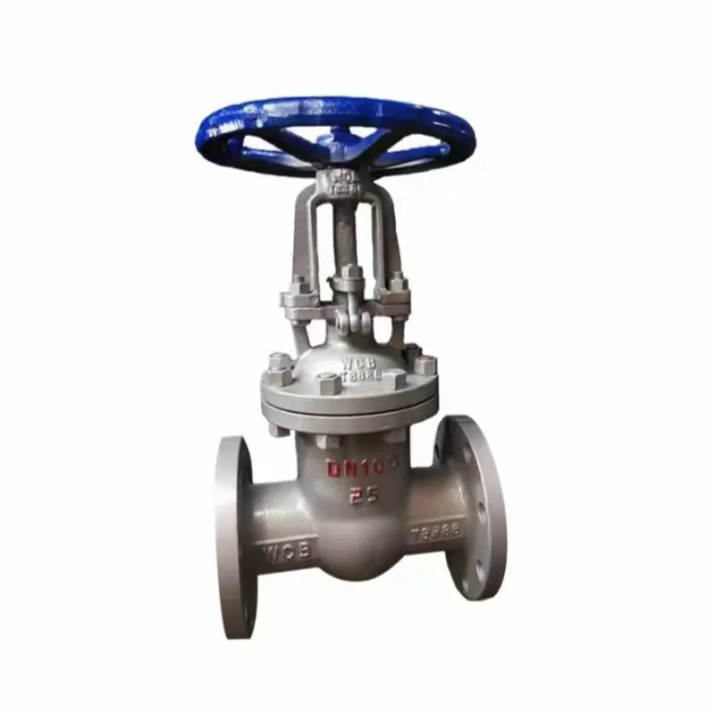 Cast Steel Gate Valve