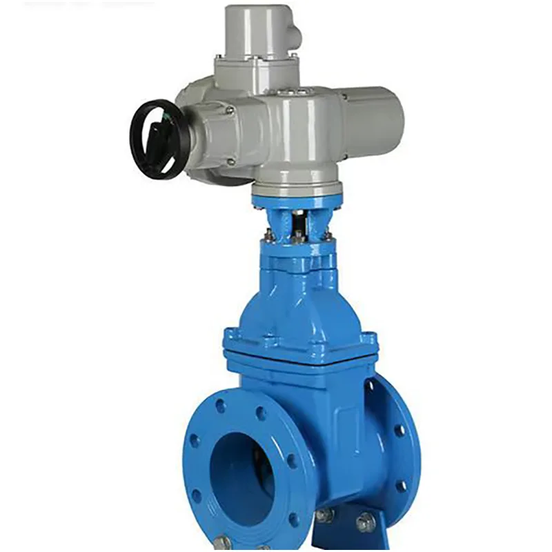 Electric Gate Valve